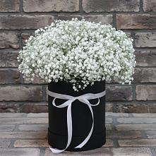 Цветочная композиция из Гипсофила в шляпной коробке в Сколково