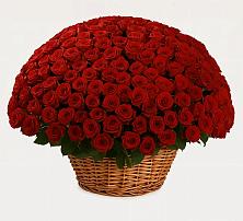 Премиум букет из: Розы в Сколково